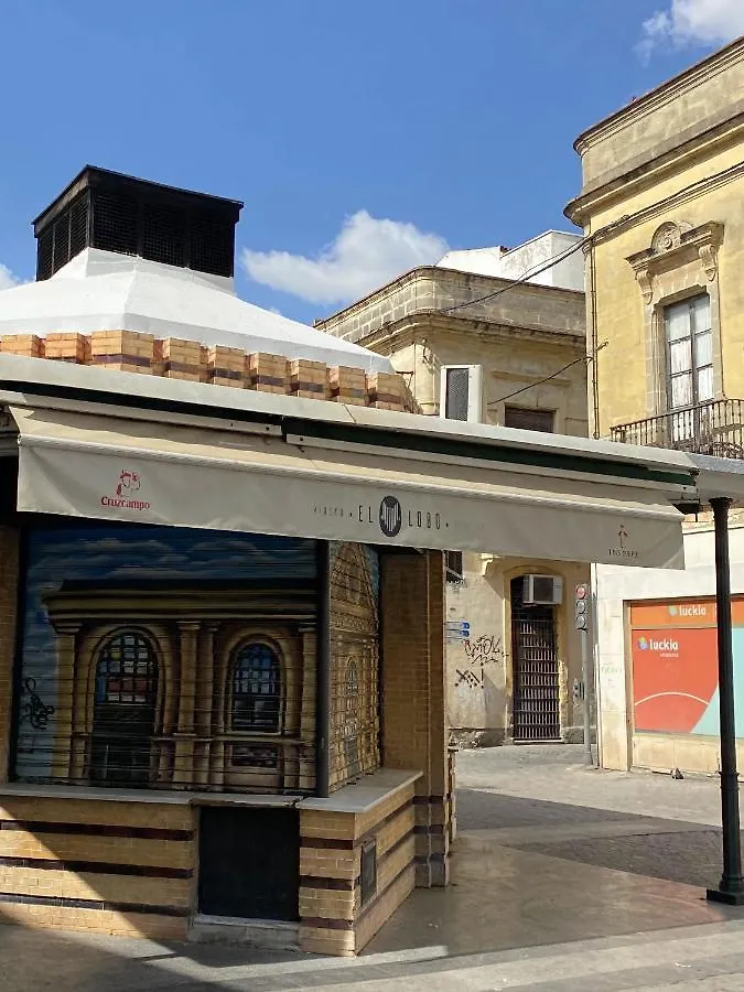 赫雷斯Jerez Centro Dona Blanca公寓 赫雷斯